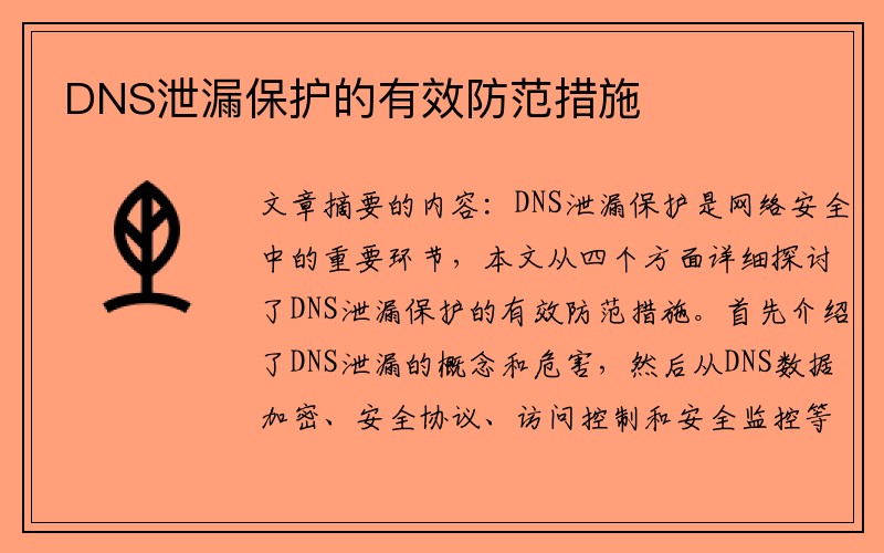 DNS泄漏保护的有效防范措施